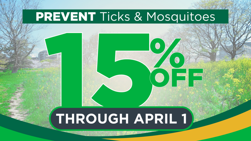 T&M 15% Website Promo