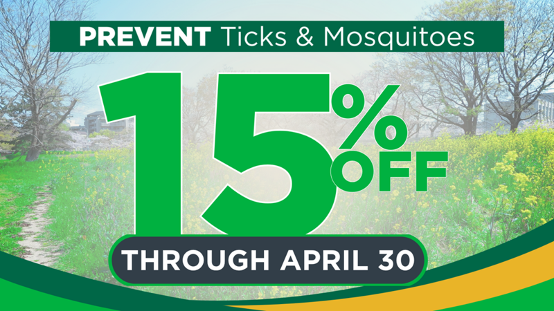 T&M 15% Website Promo (1)