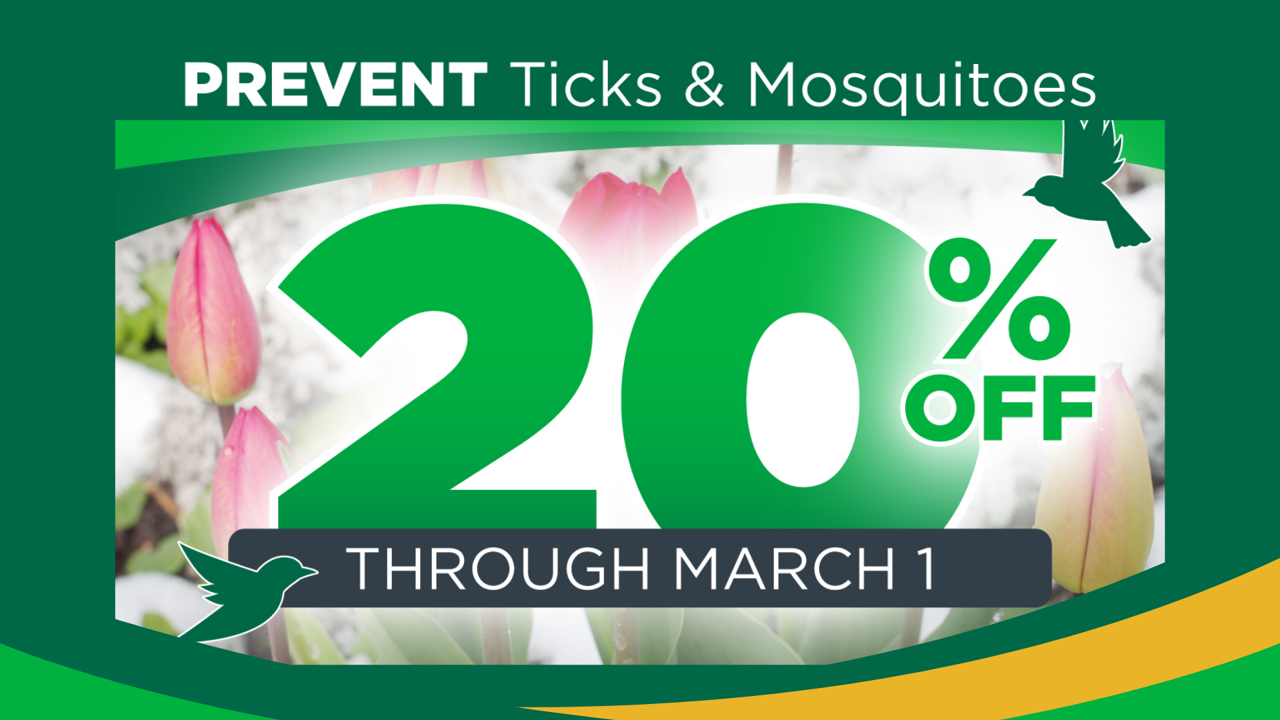 Tm 20 Website Promo 3