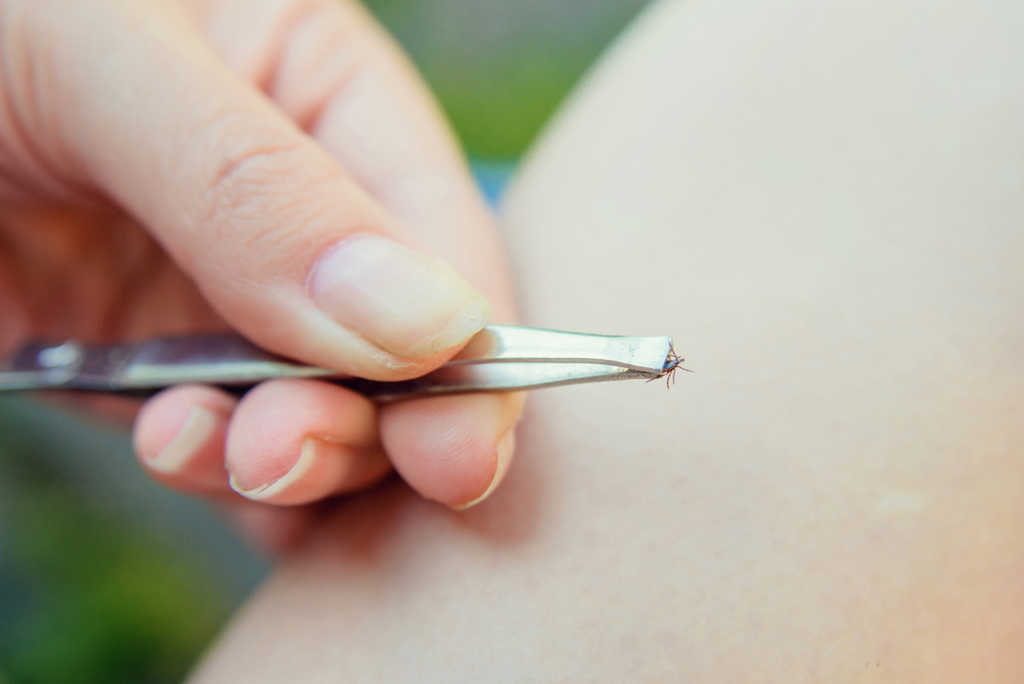 Shutterstock 1276038262 (1)