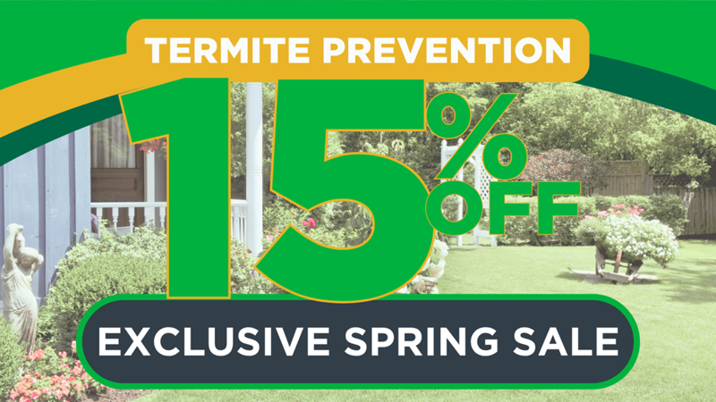 Termite 15 Website Promo