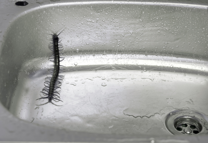 Shutterstock 1542587951