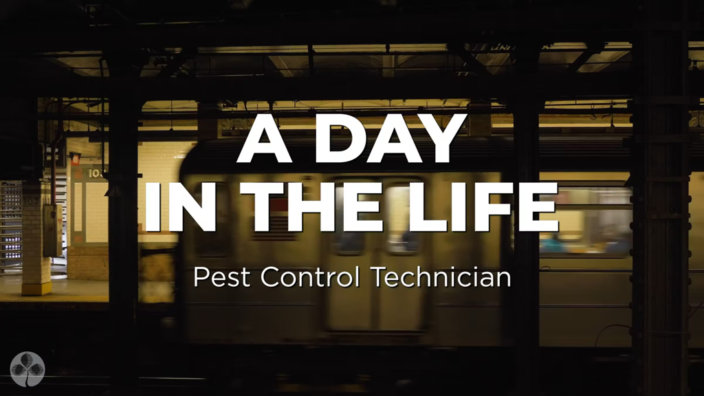 JPM A Day In The Life Pest Control Tech Large