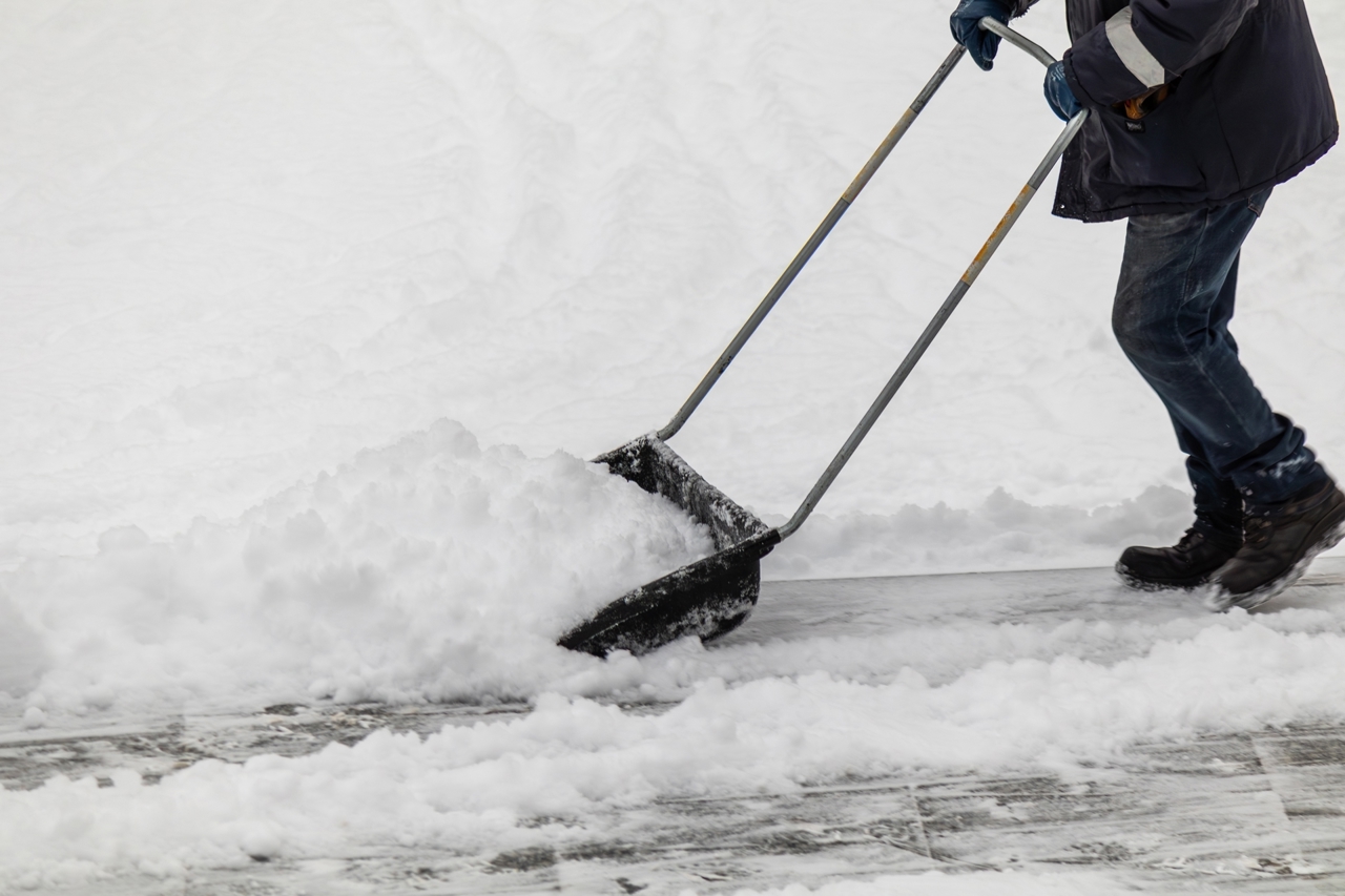 Shutterstock 2667136667